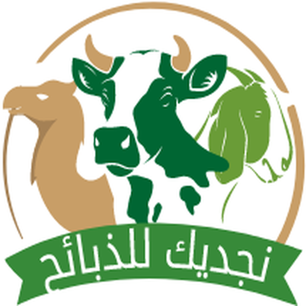 Nujdik app icon