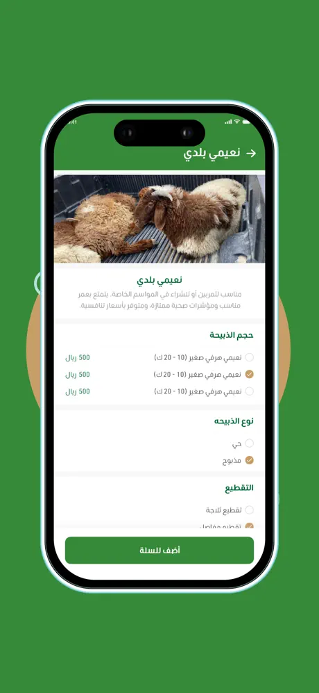Nujdik screenshot